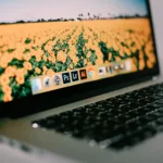 mikaela shannon clN6N30q3sw unsplash