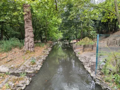 Honor_Magic_V5_P_4 Honor Magic V5 P 4