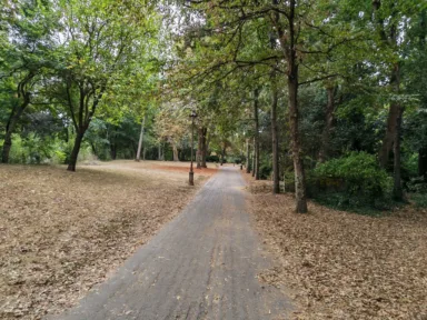 Honor_Magic_V5_P_5 Honor Magic V5 P 5