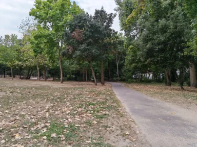 Honor_Magic_V5_P_6 Honor Magic V5 P 6