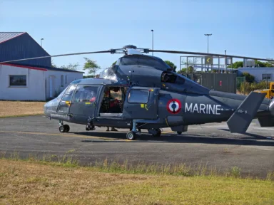 Honor_Magic_V5_P_7 Honor Magic V5 P 7