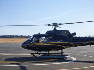 Honor_Magic_V5_P_8 Honor Magic V5 P 8