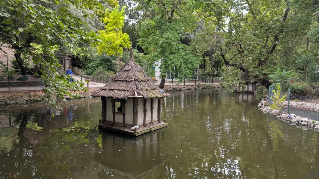 Pixel 10 Pro XL P 5