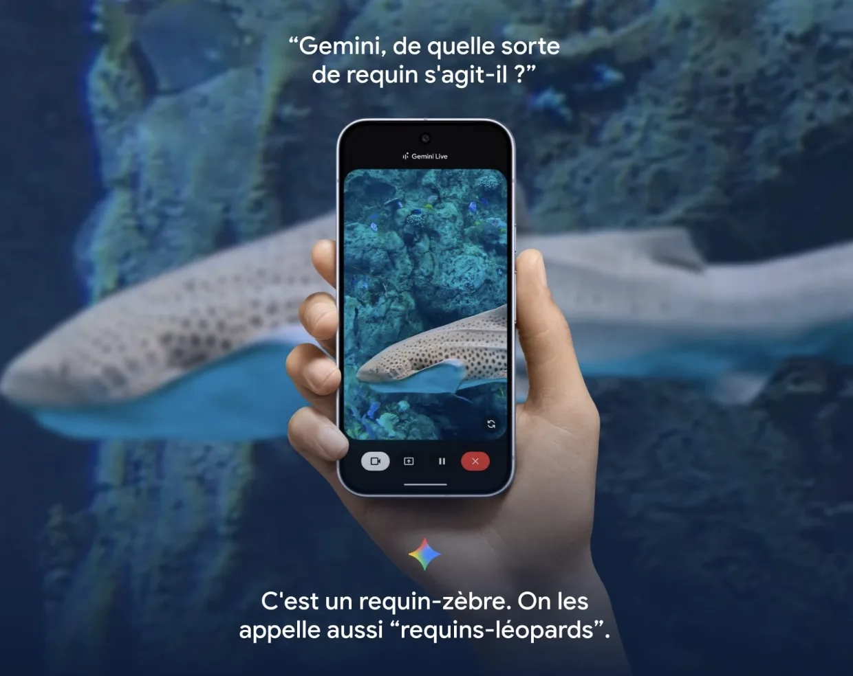 Screen 2025 08 20 at 19.30.30