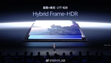 Vivo X300 stuff lyt 828 2