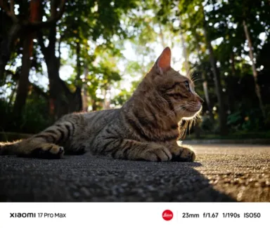 002p2Zyzly1i5oghrrrckj635s2o4e8402 002p2Zyzly1i5oghrrrckj635s2o4e8402