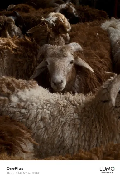 1943029441202487304 scaled