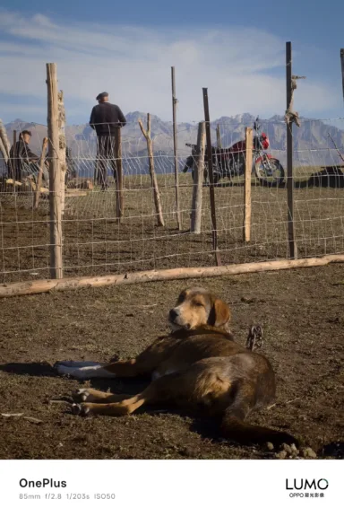 1943029441227653121 scaled