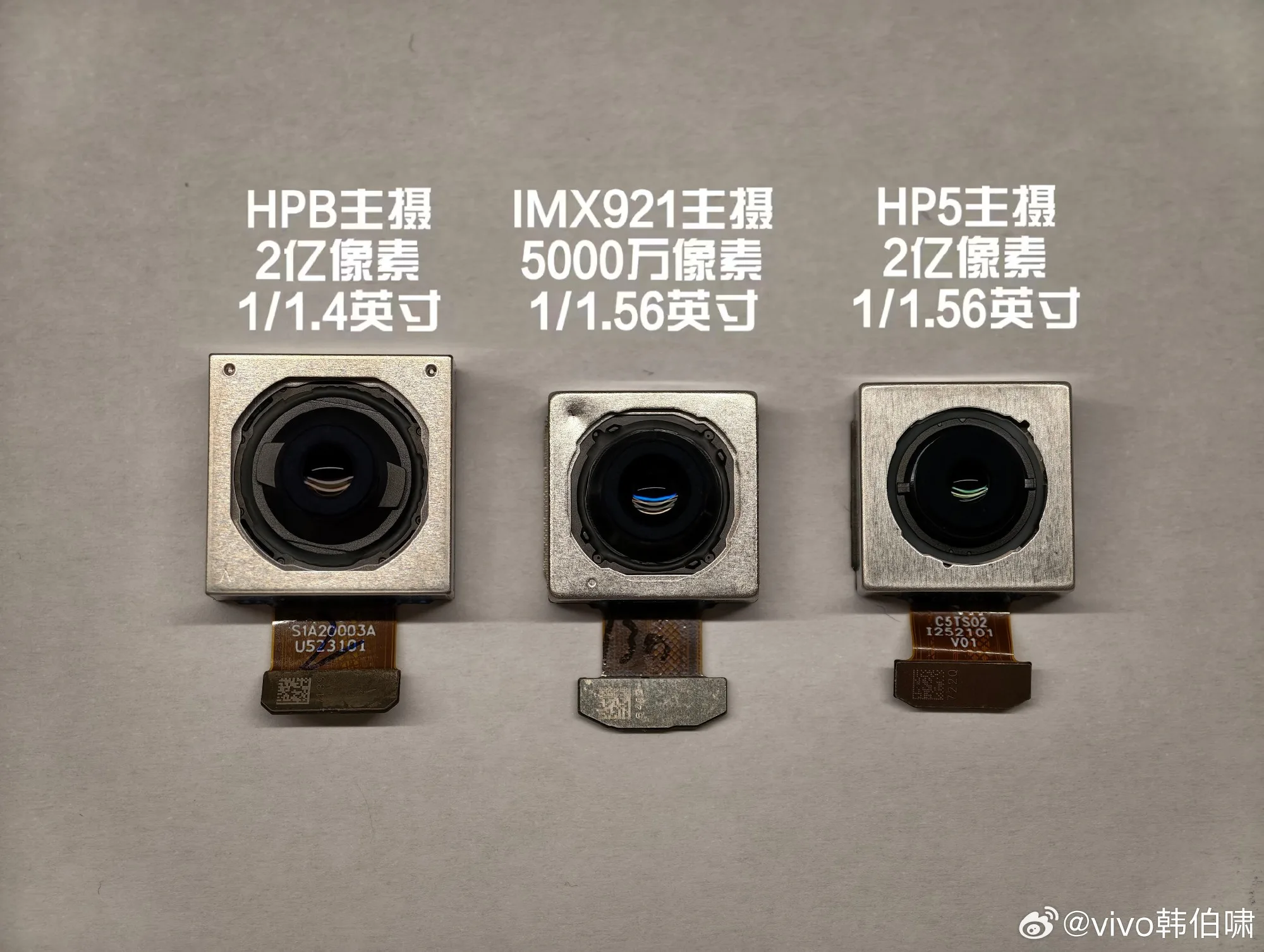 Vivo X300 primary camera
