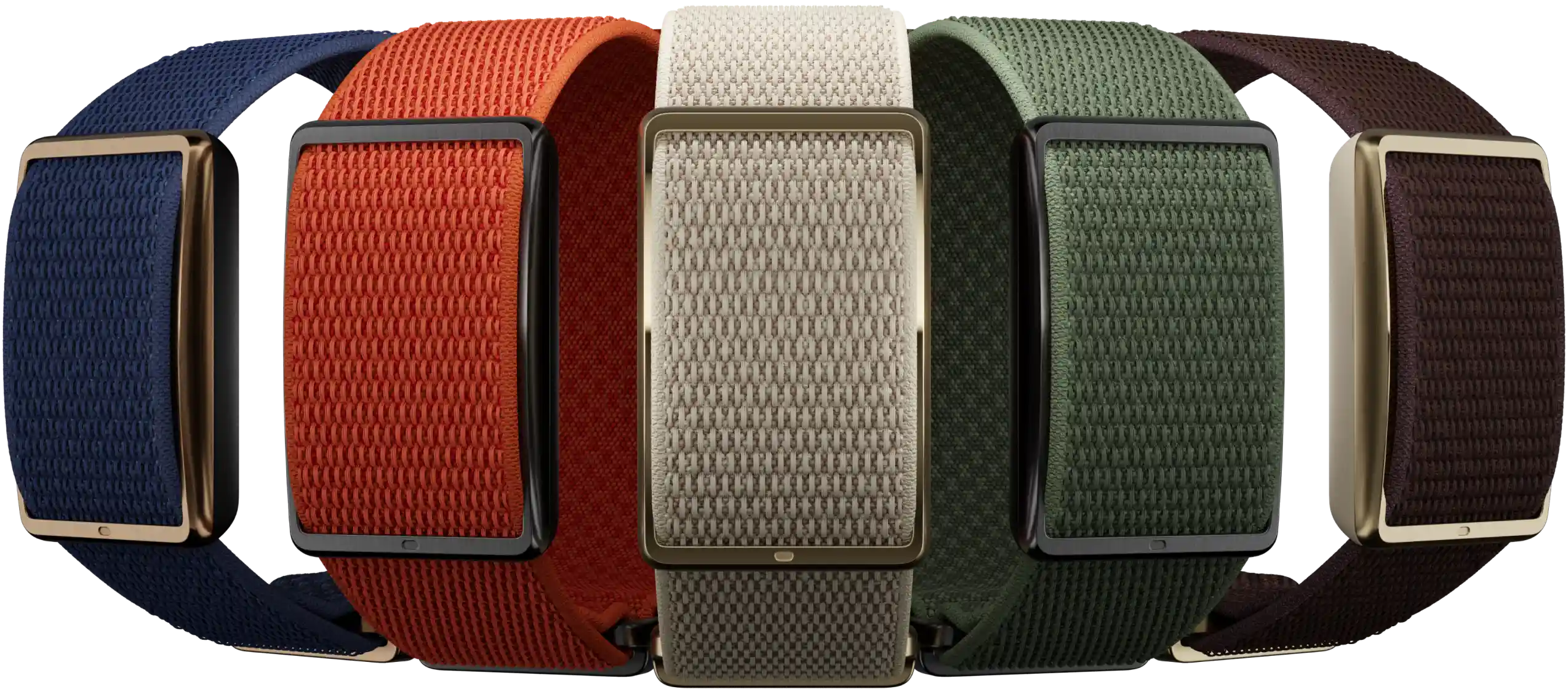 loop 02 img groupshot desktop