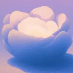 Blog 1x1
