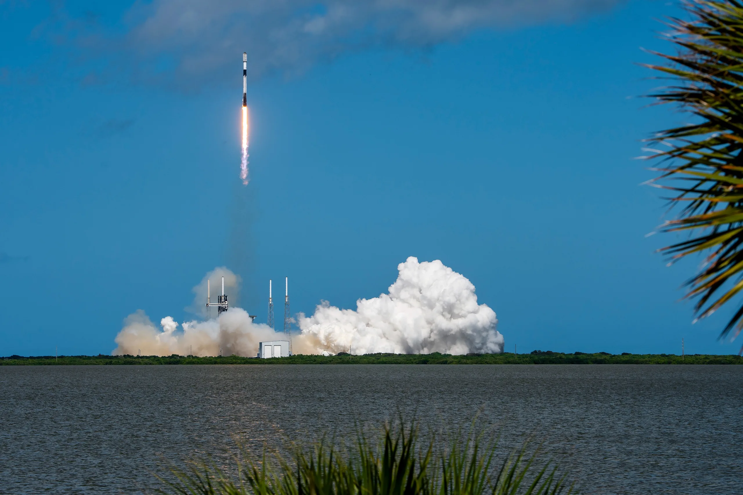 SpaceX dépasse les 10 000 satellites Starlink lancés en orbite 49 SpaceX dépasse les 10 000 satellites Starlink lancés en orbite