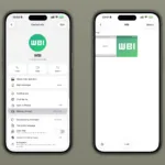 WA MANAGE STORAGE FROM THE CHAT