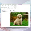OneNote pour Windows ajoute enfin un outil de recadrage d’images