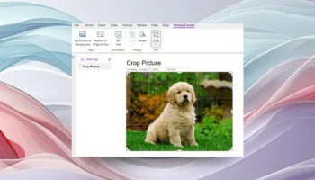 OneNote pour Windows ajoute enfin un outil de recadrage d’images