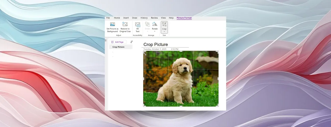 OneNote pour Windows ajoute enfin un outil de recadrage d’images 47 OneNote pour Windows ajoute enfin un outil de recadrage d’images
