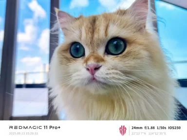 csm RedMagic 11 Pro camera sampl 1