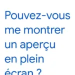 Google Traduction se réinvente : l’app explique ses traductions et aide à apprendre une langue 48 ios google translate full screen 397w 864h.jpg