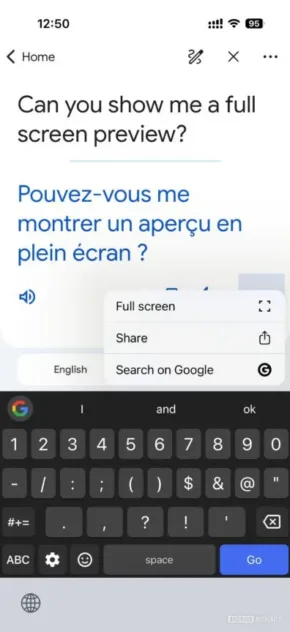 ios-google-translate-options-397w-864h.jpg ios google translate options 397w 864h.jpg