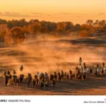 Huawei Mate 80 Pro dévoile ses premiers échantillons photo officiels 53 001OBUeugy1i7hb9vr1phj635s2muqv802