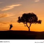 Huawei Mate 80 Pro dévoile ses premiers échantillons photo officiels 54 001OBUeugy1i7hb9yg3z0j635s2muhdu02