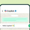 WhatsApp ferme la porte aux IA concurrentes : ChatGPT et Copilot quittent la plateforme