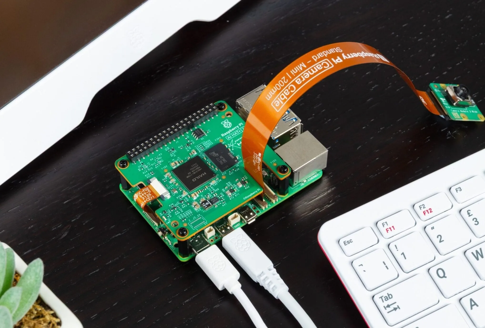 AI HAT 2 lifestyle scaled e17684