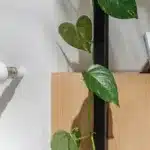 netatmo original thermostate 1 1