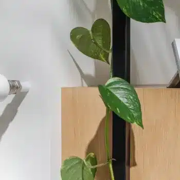 Netatmo Original 2026 : Le nouveau thermostat Matter qui unifie votre maison