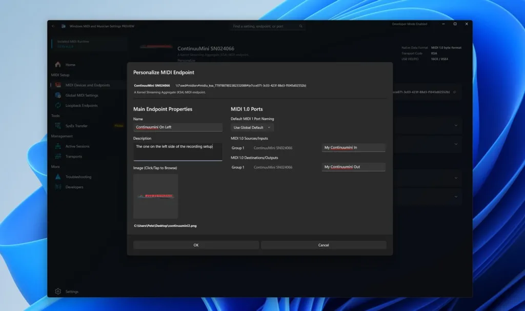 Windows 11 : Microsoft lance Windows MIDI Services avec support natif de MIDI 2.0 56 endpoint customization1920