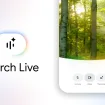 Google Search Live : La fin de la barre de recherche telle que vous la connaissez ?