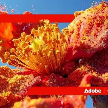 Adobe et NVIDIA : un partenariat géant pour industrialiser la création dopée à l'IA