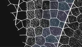 Claude Mythos : Le modèle « interdit » d’Anthropic qui révolutionne la cyber