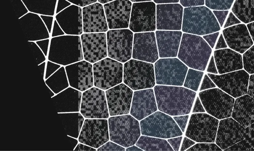 Claude Mythos : Le modèle « interdit » d’Anthropic qui révolutionne la cyber