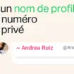 WhatsApp lance les noms de profil : il sera enfin possible de discuter sans partager son numéro