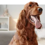 unnamed 6