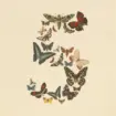 Claude Fable 5 devient payant : Anthropic change totalement son modèle de facturation dès le 7 juillet