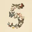 Anthropic rétablit Claude Fable 5 et Mythos 5 après la levée des restrictions américaines