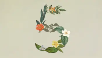 Anthropic dévoile Claude Sonnet 5 : un modèle IA plus autonome, plus rapide et moins cher