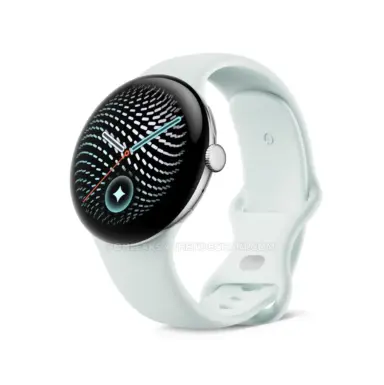 thetidechart.com pixel watch 5 silver