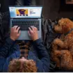 Dell 14s : un ultraportable coloré et abordable pour rivaliser avec le MacBook Neo 81 Dell 14s : un ultraportable coloré et abordable pour rivaliser avec le MacBook Neo