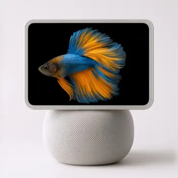 Apple prépare un hub domestique avec Siri AI, mais veut garder l’iPhone au centre de son écosystème