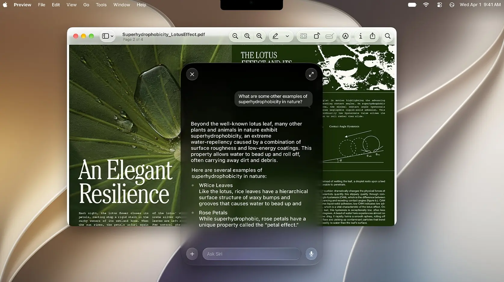 macOS 27 Golden Gate est disponible avec Siri AI 7