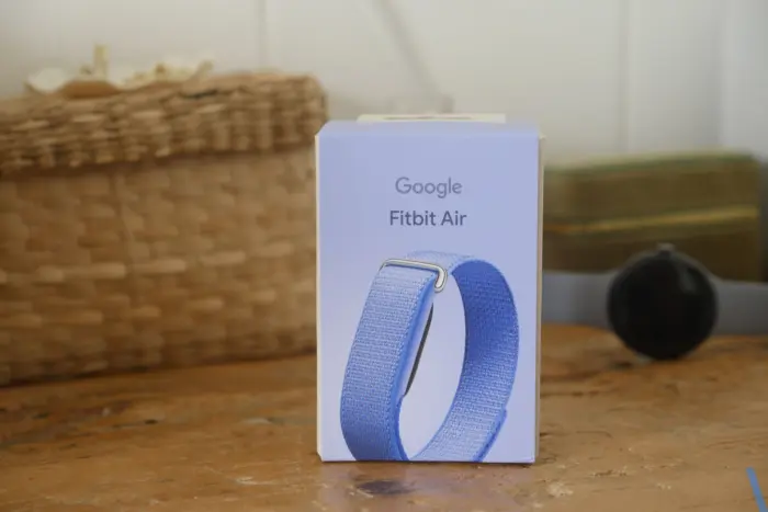 Google Fitbit Air