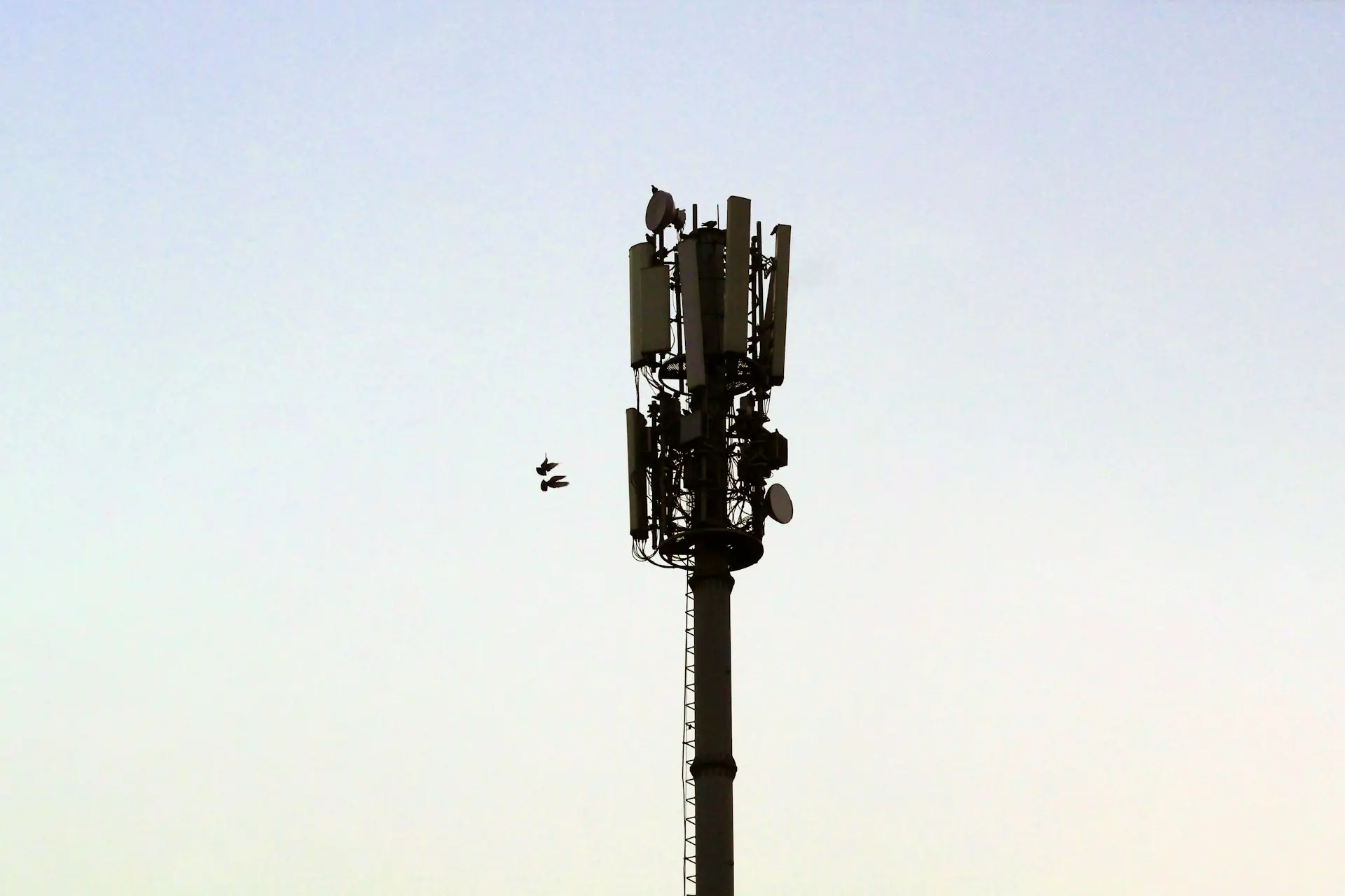 Arrêt de la 2G en France : dates, raisons et comment vérifier que votre téléphone est prêt