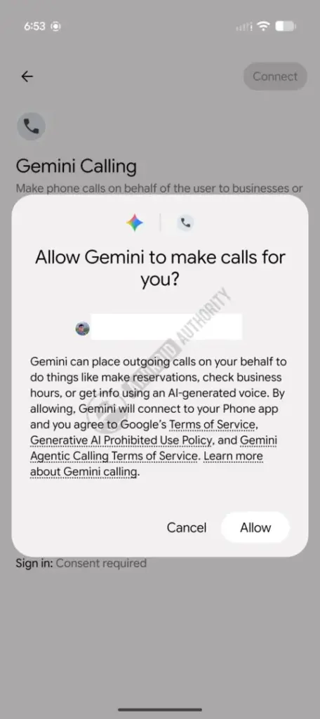 gemini calling personal 2 watermarked 481w 1080h.jpg