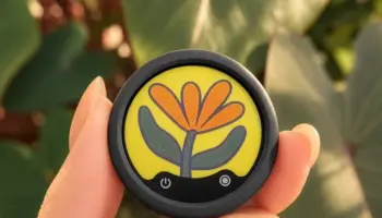 Insta360 Mic : un micro sans fil plus abordable avec écran E Ink et 13 heures d’autonomie