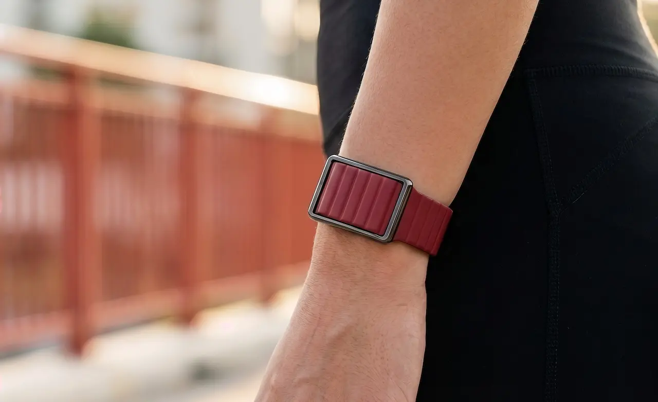 polar loop silicone band